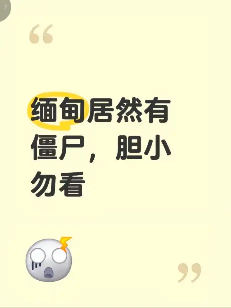 《缅甸僵尸出土事件》高清无删减资源下载 - 揭秘缅北神秘事件真相完整版在线播放