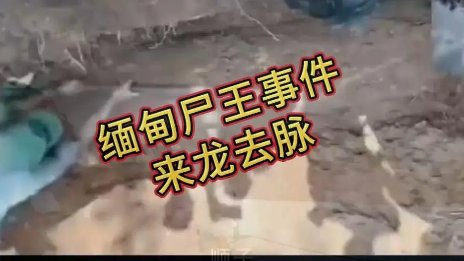 《缅甸僵尸出土事件视频》完整版资源下载 - 线观看缅甸僵尸出土事件视频高清未删减全程录像 - 免费播放爆火视频